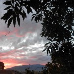 feel the deliciousness of the Divine