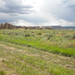 Yes, there IS a Kingdom.