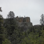 Have you found your path?