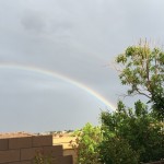 Beauty appears when the conditions are right.