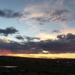 Gratitude is the pathway to greatness.