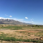 Renewal is continuous.