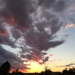 So easy to try the spirits.