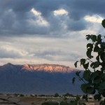 Gloriously beautiful in all ways.