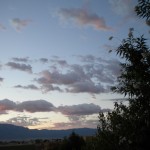 Everything is made in mind FIRST.