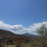 Praise and more praise.