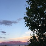 Patience and devoted purpose.