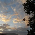 Affirming truth and love.