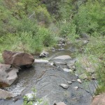 "Even the least of these ..."