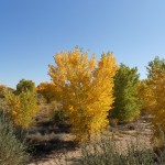 Your "place" is prepared.