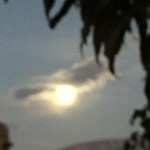 Shining in the darkness.