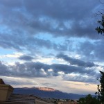 Hope springs eternally