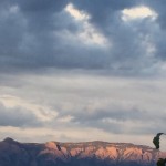 Cultivate a merry heart