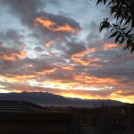 You're safe to love unconditionally.