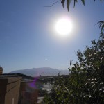 "You came from the Light"