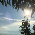 Come out of the shadows.