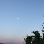 Peace in the present.