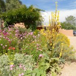 garden of possibility