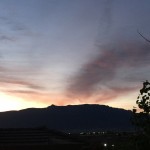 The "will of him who sent me."