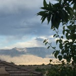 Vast as the Universe.