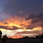 You are magnificent.