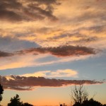 For this, I was born!