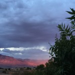 Beauty, pleasure, goodness.