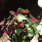 Nature is self-sustaining.