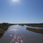 Awareness - a never-ceasing stream ...