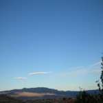 Ask for clarity, guidance.