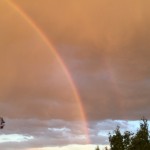 "Fear not, little flock.   It is your Father's good pleasure to give you the kingdom ..."