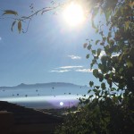 "Even the least ..."