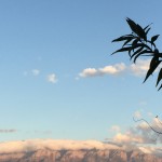 "My cup runneth over."