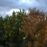 How much is too much gratitude?  Too much love?