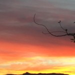 You came from the Light ...