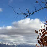 Allow the flow of good.