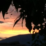 Celebrate the Oneness, the Wholeness, the Completeness.