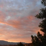 For this you were born.